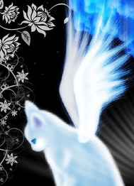 冰雪神猫