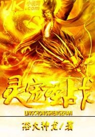 灵宠圣战
